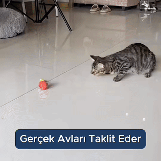 PatiShop™ - Akıllı Kedi Topu