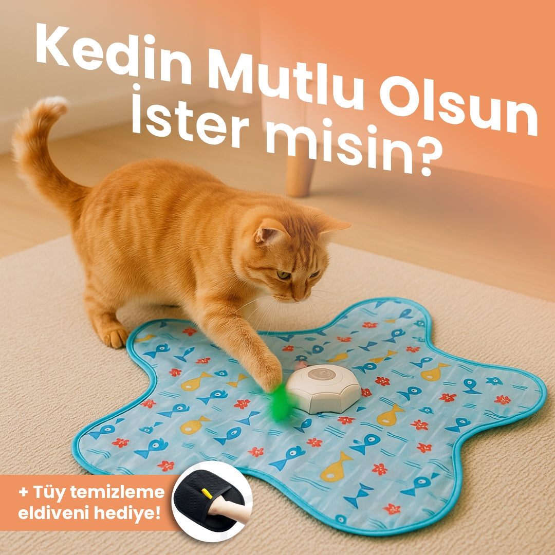 Akıllı Halı - Kedi Oyun Halısı