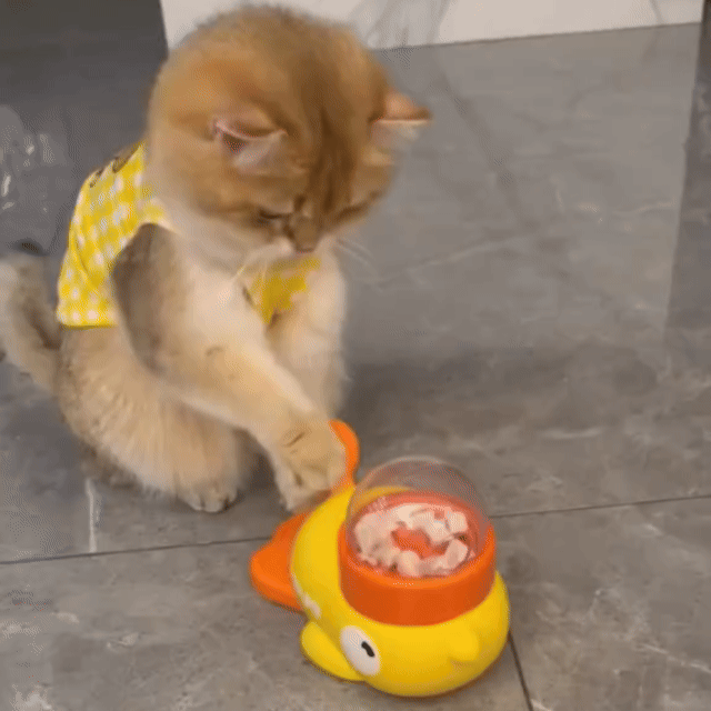 PatiShop™ - Besleme Ördeği