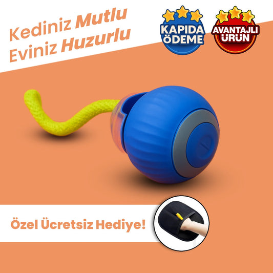 PatiShop™ - Akıllı Kedi Topu