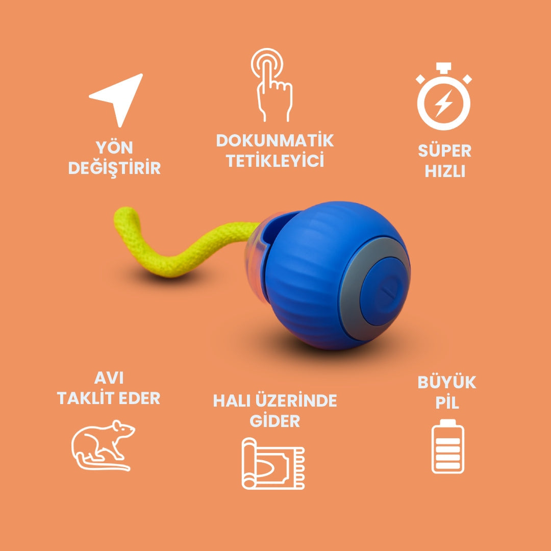 PatiShop™ - Akıllı Kedi Topu