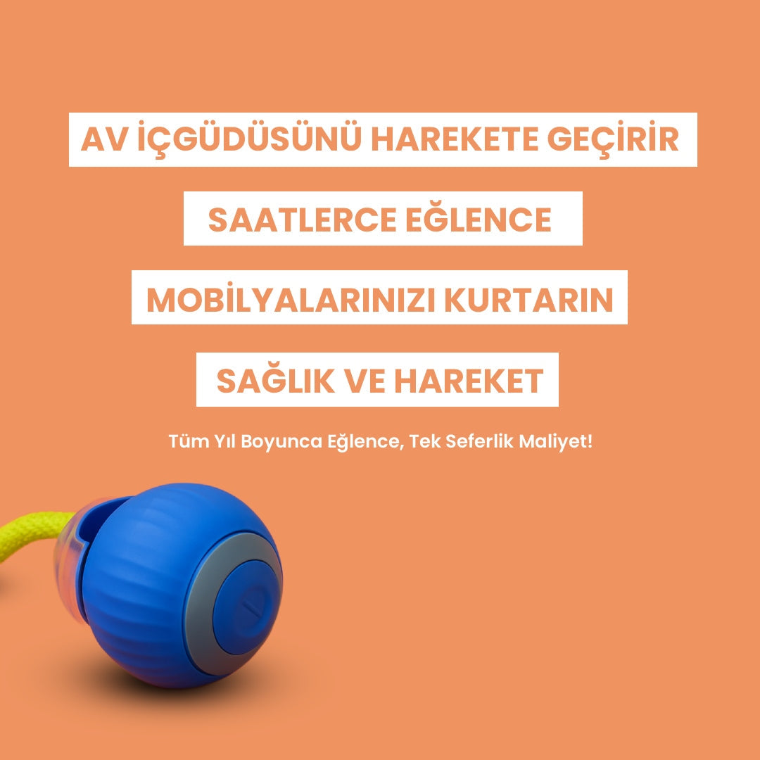 PatiShop™ - Akıllı Kedi Topu