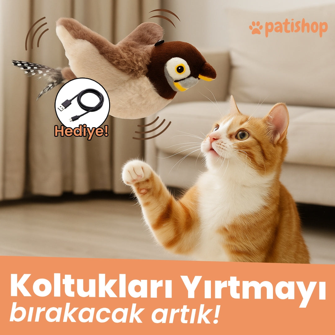 Akıllı Serçe - Evcil Hayvan Oyuncağı