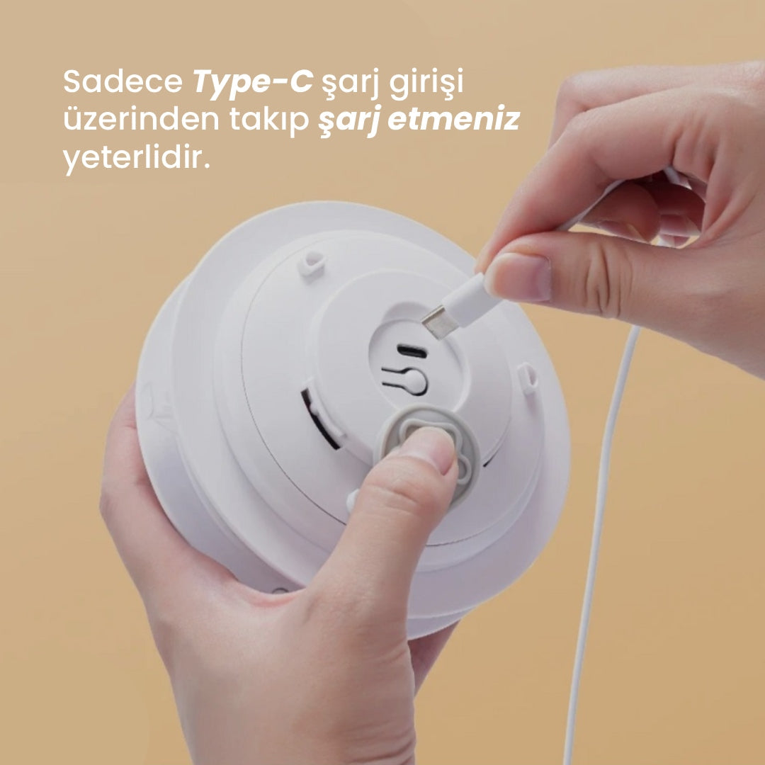 Akıllı Halı - Kedi Oyun Halısı