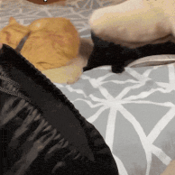 Akıllı Serçe - Evcil Hayvan Oyuncağı