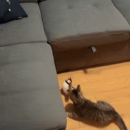 Akıllı Serçe - Evcil Hayvan Oyuncağı